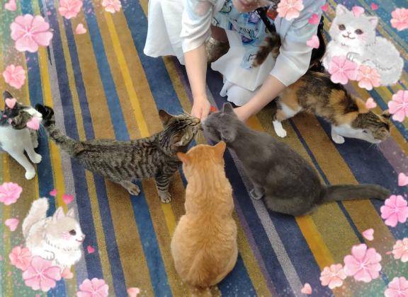 あいこ《バイブを前の穴に…》