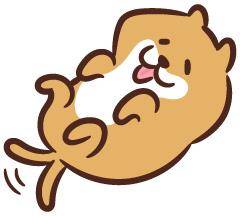 今なら?