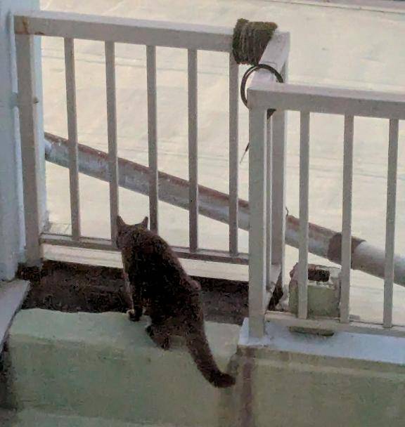 おはようございます(^^)