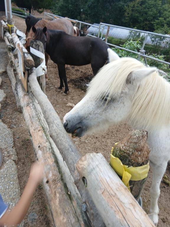 香水好きな匂い
