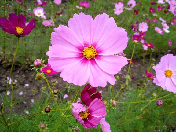 おはようございます?