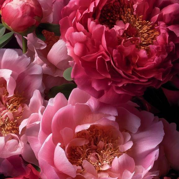 さき《エロスオーラビンビン》