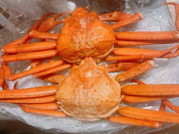 みく《本能の淫乱娘》