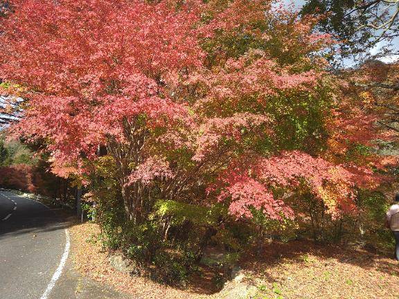 かずき《大きな瞳が魅力♡》