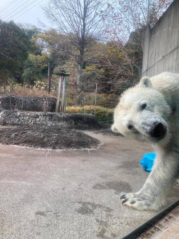 みひろ《ドキドキさせちゃう♪》