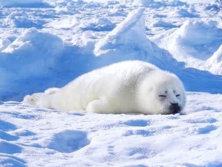 ことね《責められ好きHカップ》