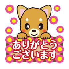 ゆき《細身の熟女枠》