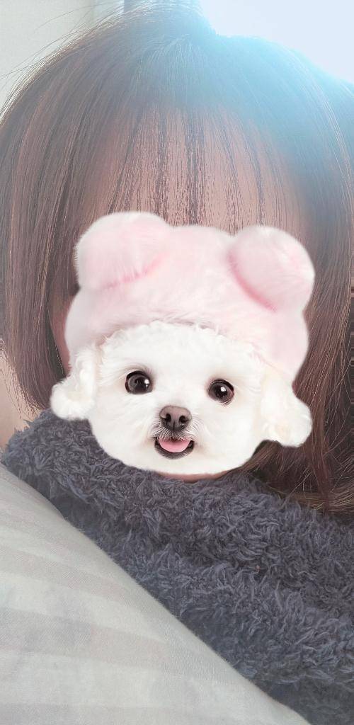 うた《マジで恋してまうやん！》