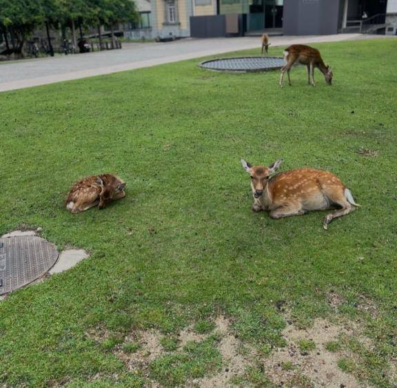 みひろ《ドキドキさせちゃう♪》
