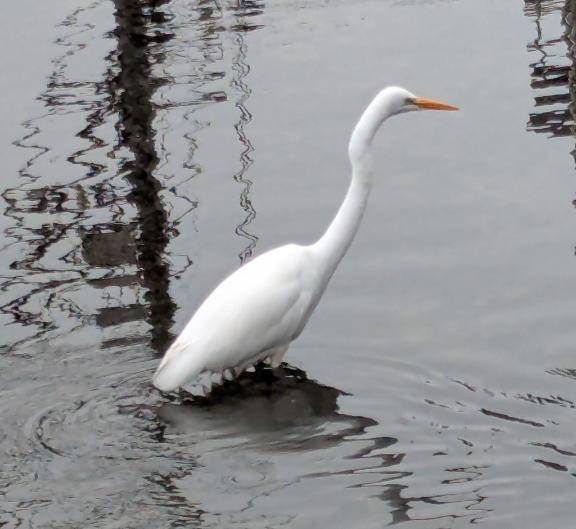 あいこ《バイブを前の穴に…》