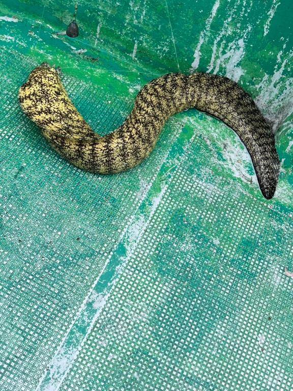 みひろ《ドキドキさせちゃう♪》