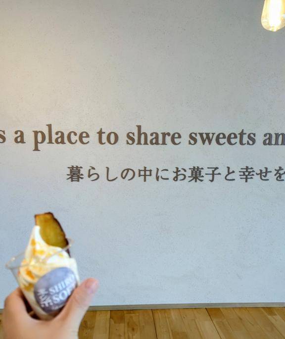 あいこ《バイブを前の穴に…》