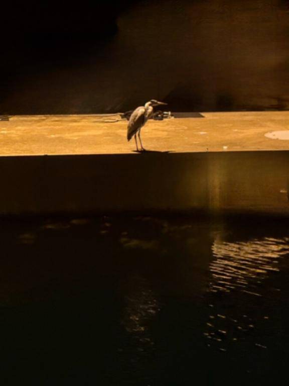 みひろ《ドキドキさせちゃう♪》