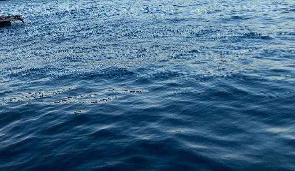 みひろ《ドキドキさせちゃう♪》