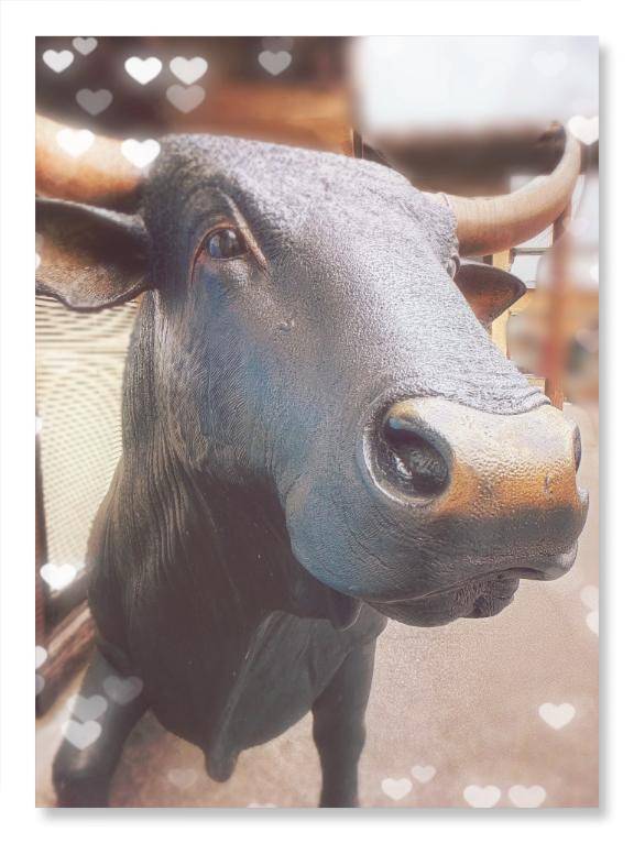 ふみの☆新人☆