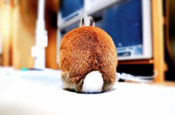 ふみの☆新人☆