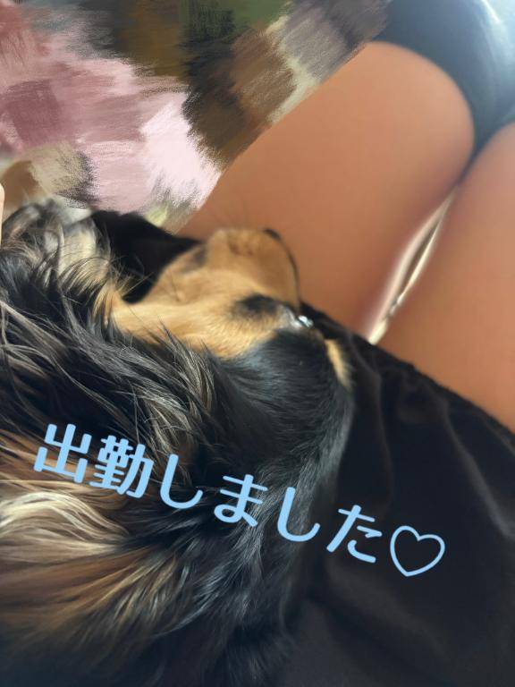 りっか☆新人☆