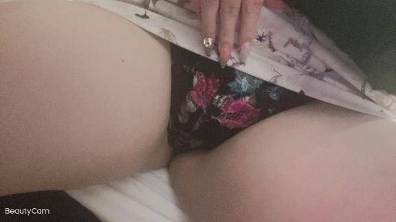 今日も