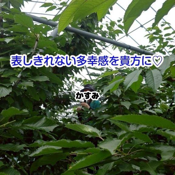 ?? 表しきれない多幸感を貴方に?