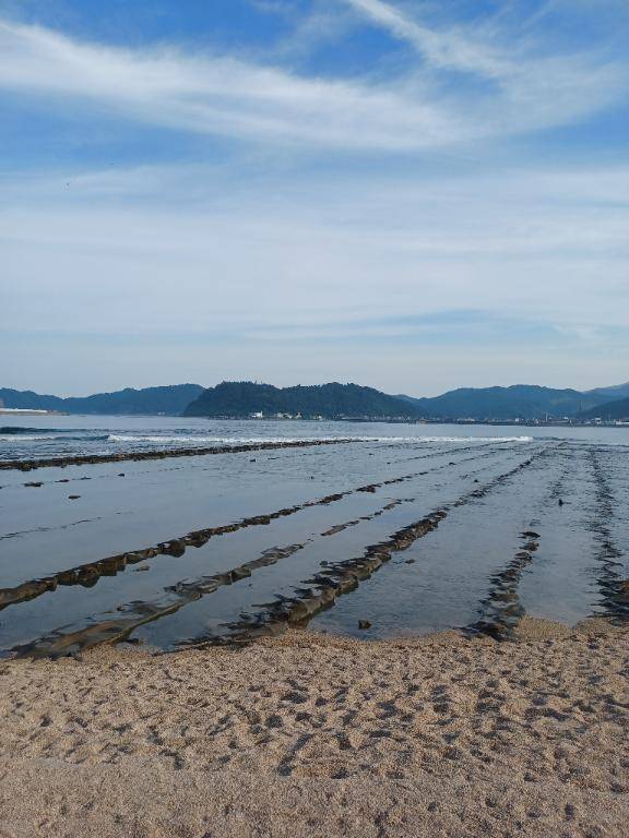 お早うございます