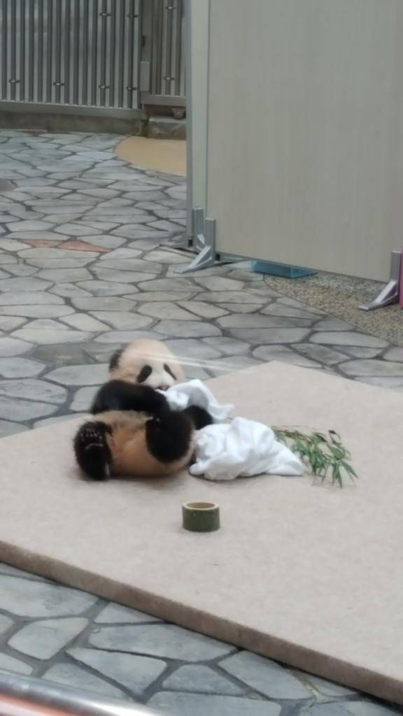 こんにちは