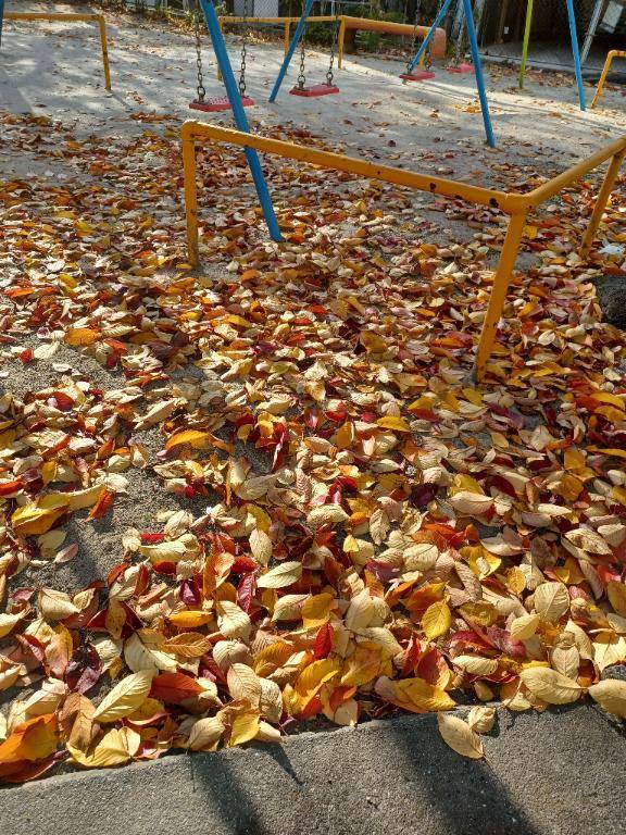 お早うございます