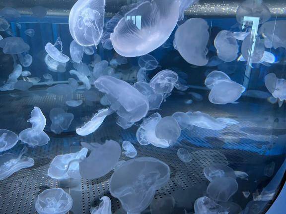 おはようございます♪