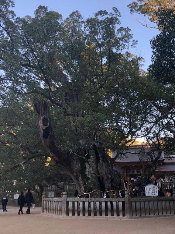 本日の出勤について