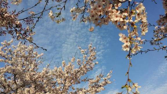 河合（ソープランド☆女子寮本館）