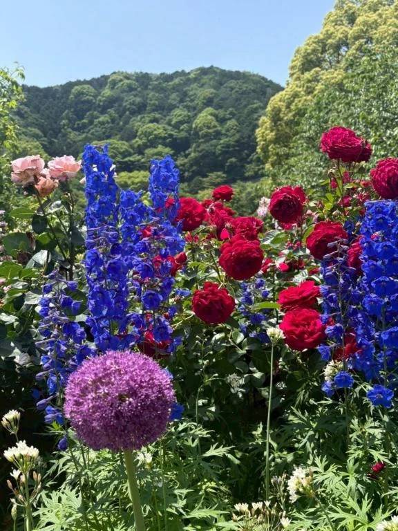 おはようございます♪