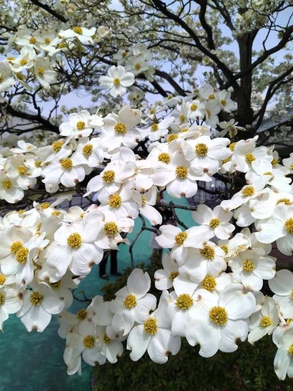 杉本（ソープランド☆女子寮本館）