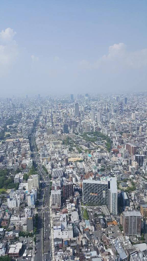 こんにちは