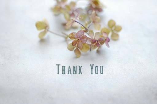 𝑻𝒉𝒂𝒏𝒌 𝒚𝒐𝒖💋