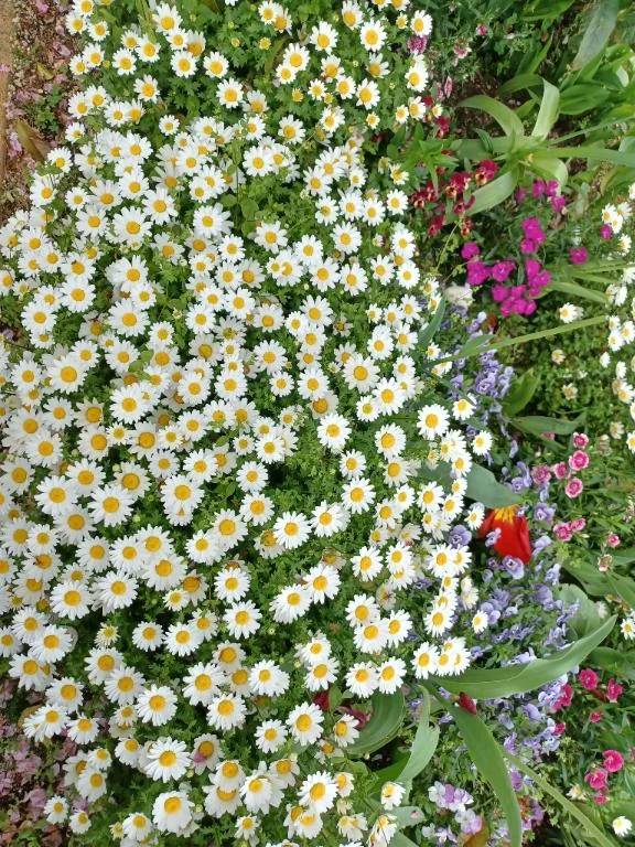 お早うございます