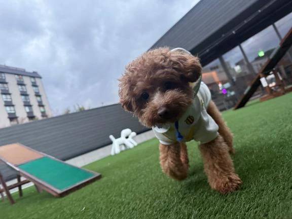 お弁当のおかずは?🍱