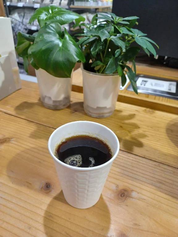 お早うございます