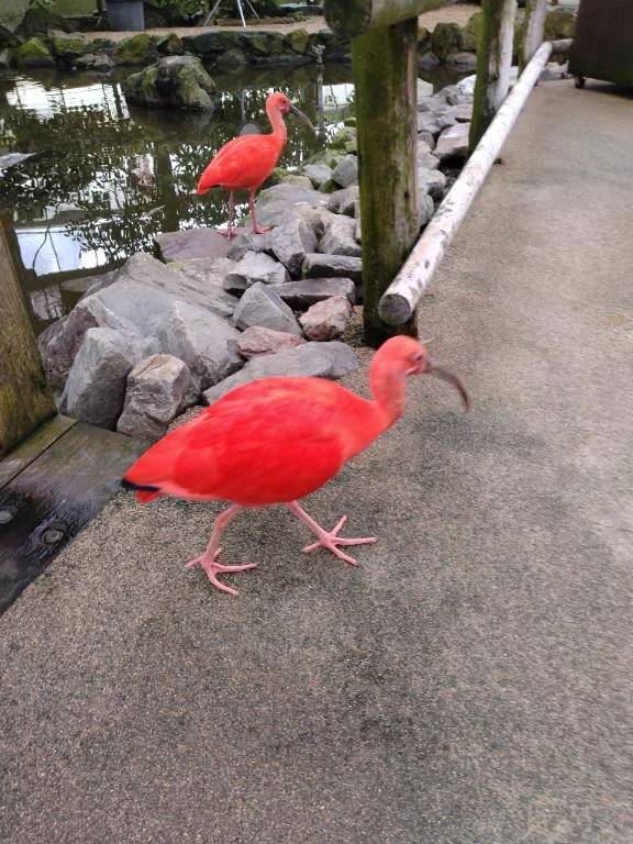 こんにちは