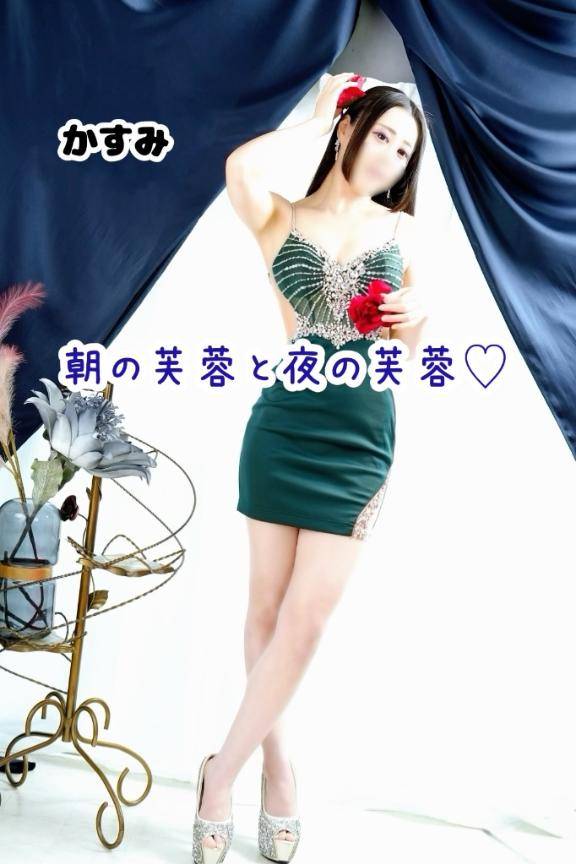 ?? 朝の芙蓉と夜の芙蓉?