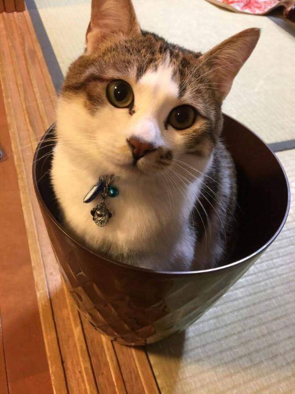 こんにちは