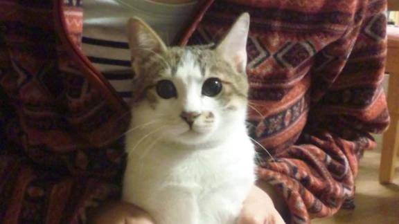 こんにちは