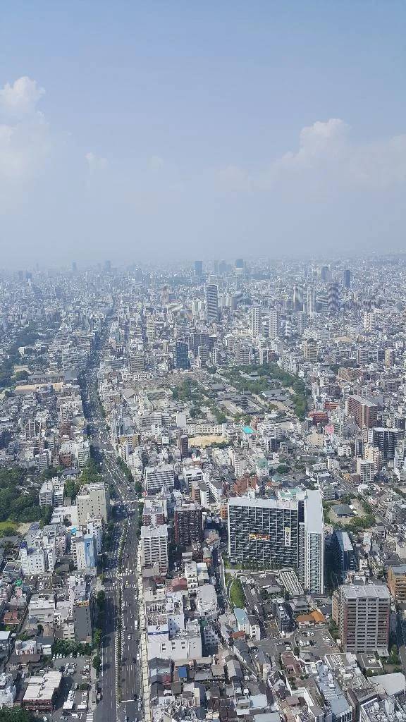 こんにちは