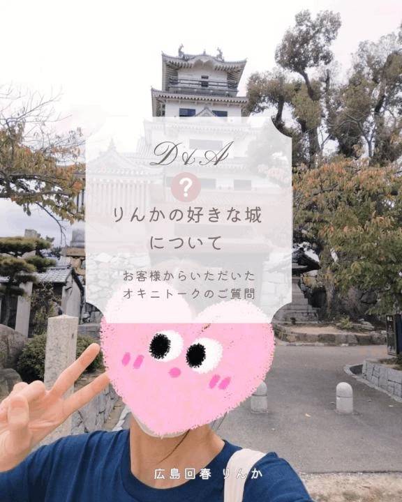 (ご質問❓)どのお城が好きですか?(๑´ロ`๑)~♪❤️