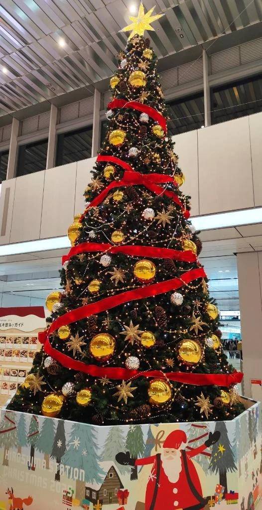 金の玉を見たらしたくなる(๑´ﾛ`๑)～♪❤️