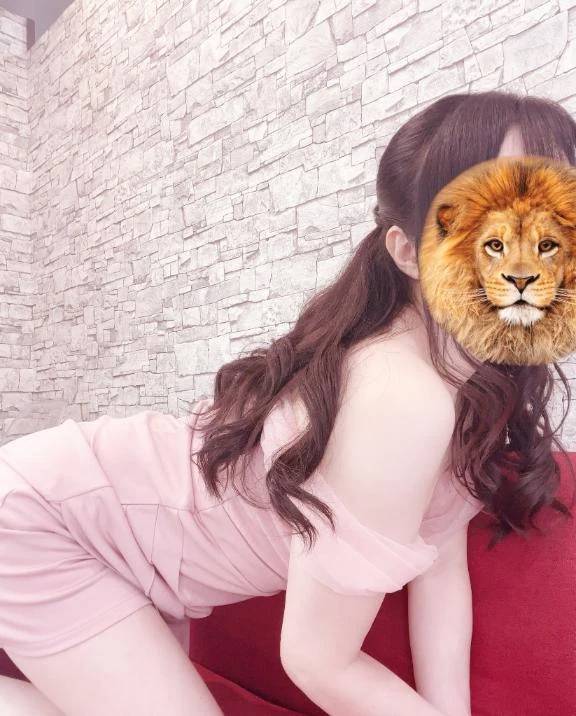 受付終了しました