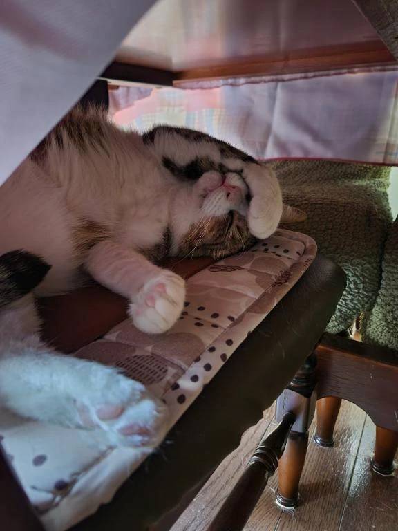 換算してみて？