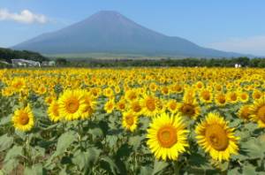 ９月になって２回目の木曜日