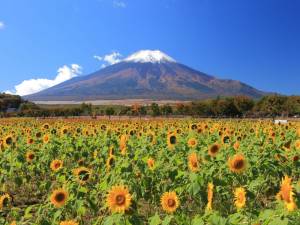 ９月最後の火曜日