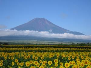 ９月最後の木曜日