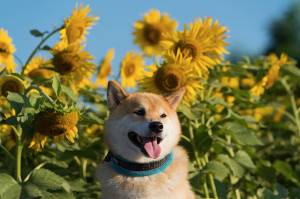 ９月最後の金曜日