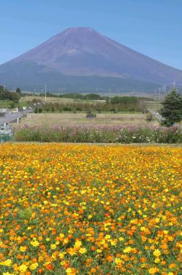 １０月になって２回目の金曜日